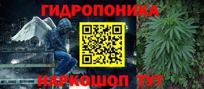 ешки Кимры