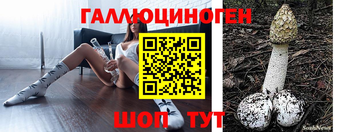 Алапаевск  Галлюциногенные грибы мицелий  Вход с VPN 